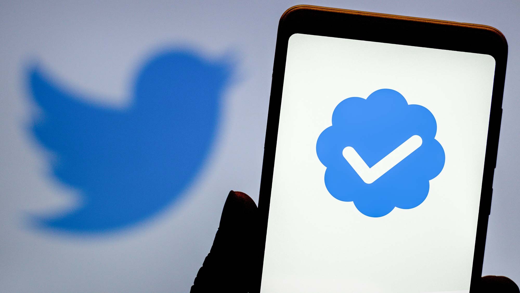 TWITTER AYAA LACAG KU SOO ROGI DOONA DADKA HAYSTA CALAAMADA BULUUGA TWITTER AYAA LACAG KU SOO ROGI DOONA DADKA HAYSTA CALAAMADA BULUUGA
